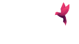 CODA Network
